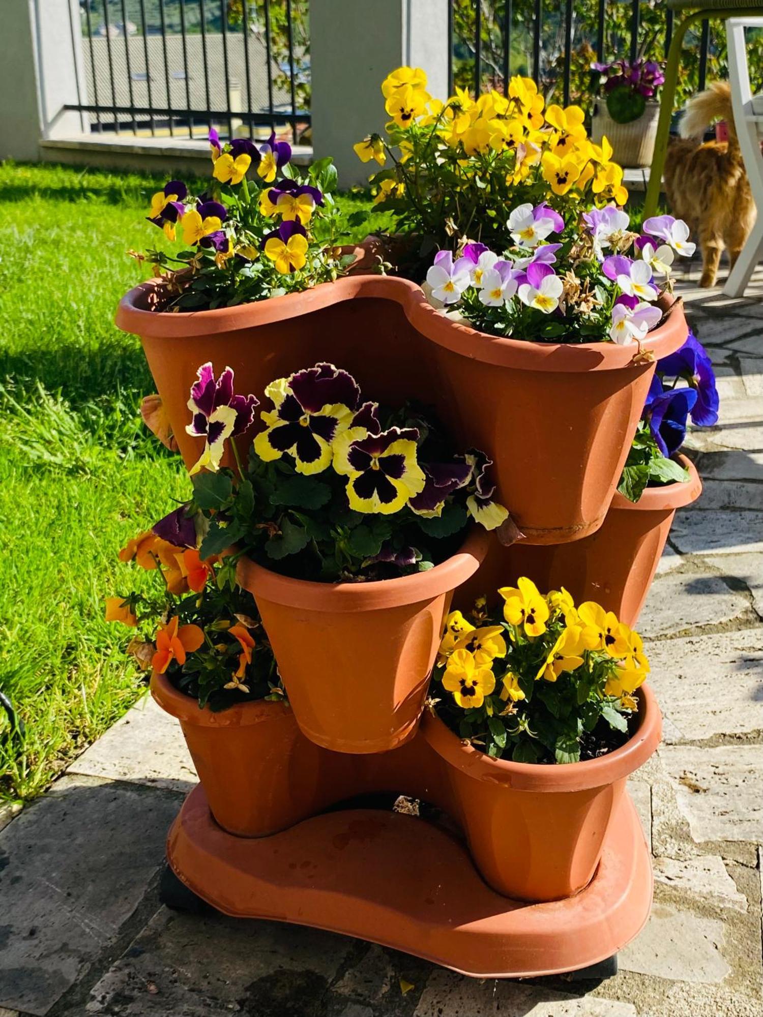 キエーティ Dimora Il Campanile Bed & Breakfast エクステリア 写真